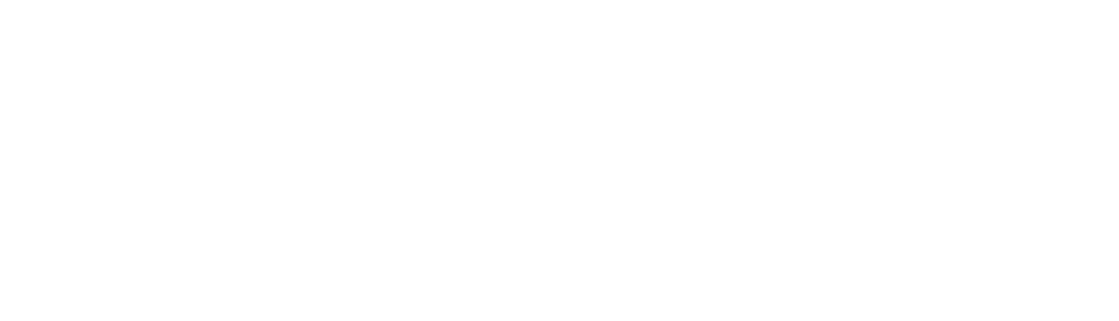 EVIDENT LOGO 2023_WHITE-1